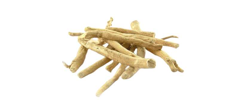 close up of ashwagandha 