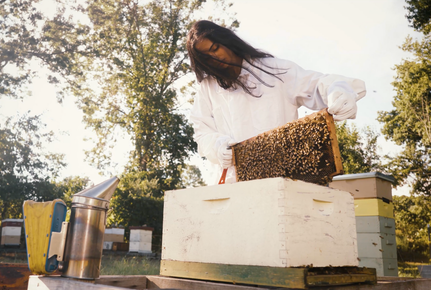 woman holding a frame of honeybees at a apiary 
